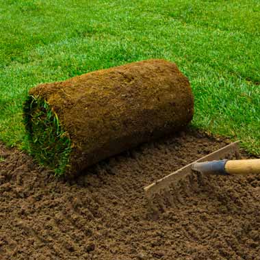 Best Residential Commercial New Sod & Grass Installation Services
