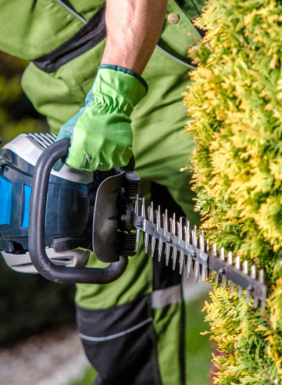 Commercial & Residential Hedge & Shrub Trimming Services Companies