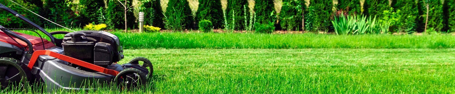 Residential Lawn Mowing & Grass Cutting Services In Whitby & Durham Region
